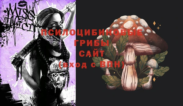 прущий лед Навашино