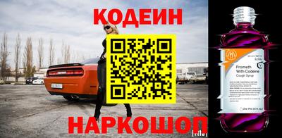индика Гусев