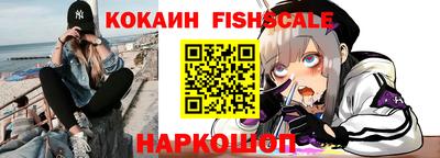 индика Гусев