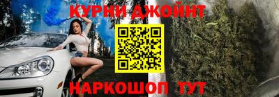 индика Гусев