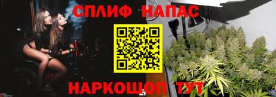 индика Гусев