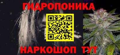 индика Гусев