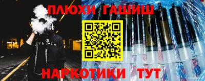 индика Гусев